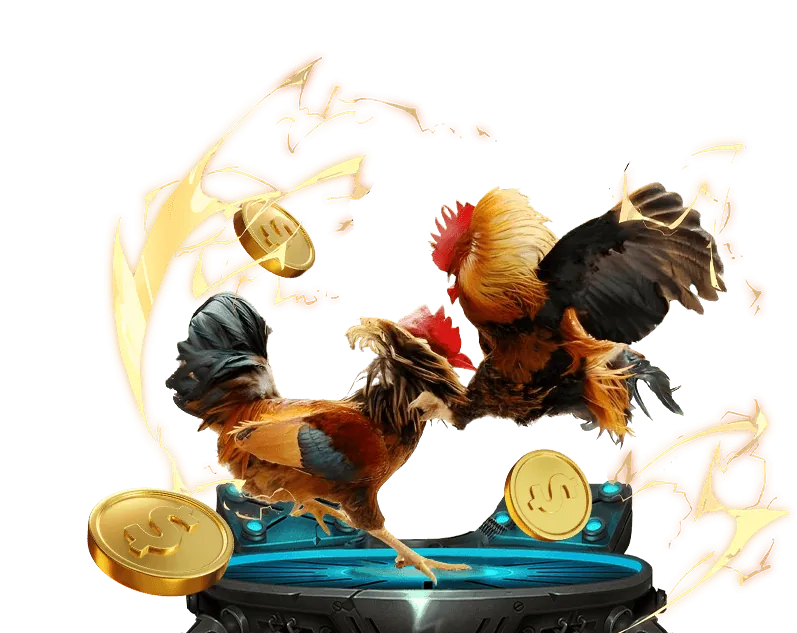 Lợi ích khi chơi đá gà tại lucky8882